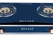 BẾP ĐÔI HAYASA 8200